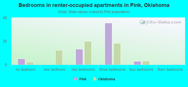 Bedrooms in renter-occupied apartments in Pink, Oklahoma