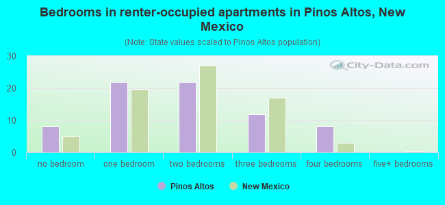 Bedrooms in renter-occupied apartments in Pinos Altos, New Mexico