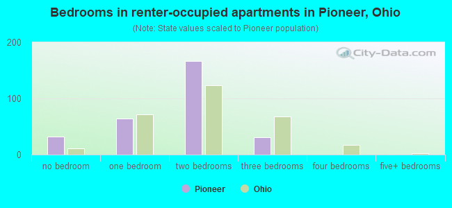 Bedrooms in renter-occupied apartments in Pioneer, Ohio