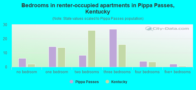 Bedrooms in renter-occupied apartments in Pippa Passes, Kentucky