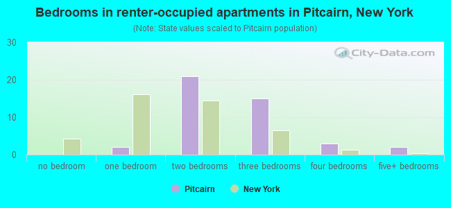 Bedrooms in renter-occupied apartments in Pitcairn, New York