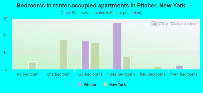 Bedrooms in renter-occupied apartments in Pitcher, New York