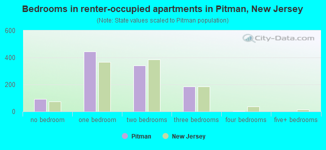 Bedrooms in renter-occupied apartments in Pitman, New Jersey