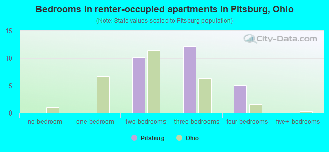Bedrooms in renter-occupied apartments in Pitsburg, Ohio