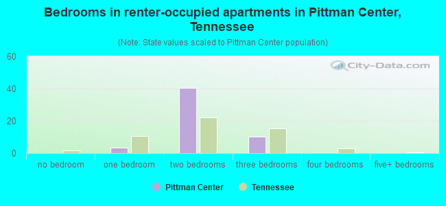 Bedrooms in renter-occupied apartments in Pittman Center, Tennessee