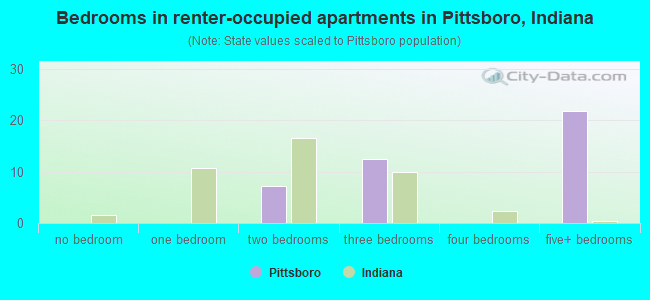 Bedrooms in renter-occupied apartments in Pittsboro, Indiana