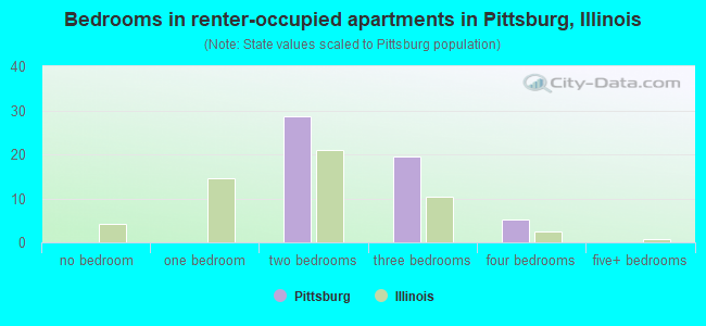 Bedrooms in renter-occupied apartments in Pittsburg, Illinois