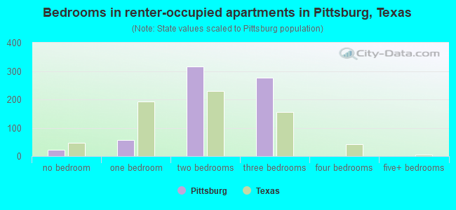Bedrooms in renter-occupied apartments in Pittsburg, Texas