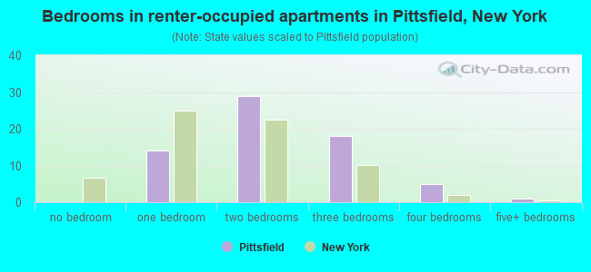 Bedrooms in renter-occupied apartments in Pittsfield, New York