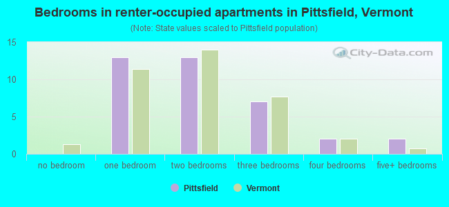 Bedrooms in renter-occupied apartments in Pittsfield, Vermont