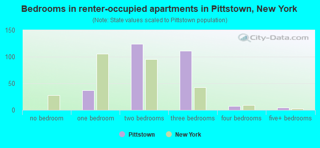 Bedrooms in renter-occupied apartments in Pittstown, New York