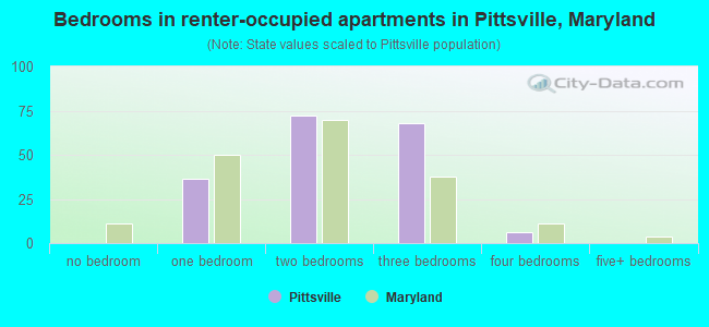 Bedrooms in renter-occupied apartments in Pittsville, Maryland