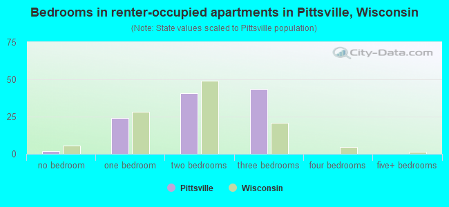 Bedrooms in renter-occupied apartments in Pittsville, Wisconsin