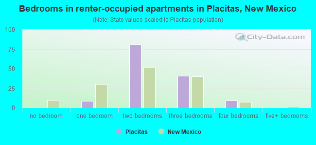 Bedrooms in renter-occupied apartments in Placitas, New Mexico