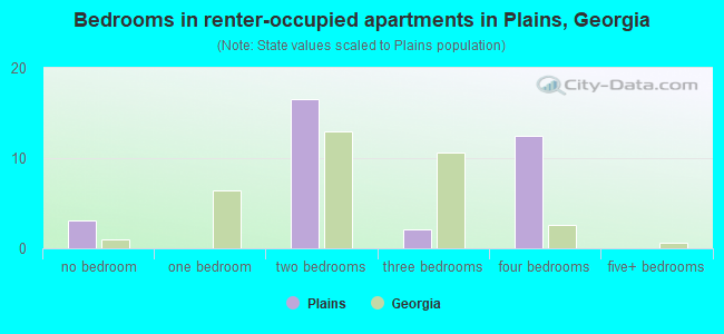 Bedrooms in renter-occupied apartments in Plains, Georgia