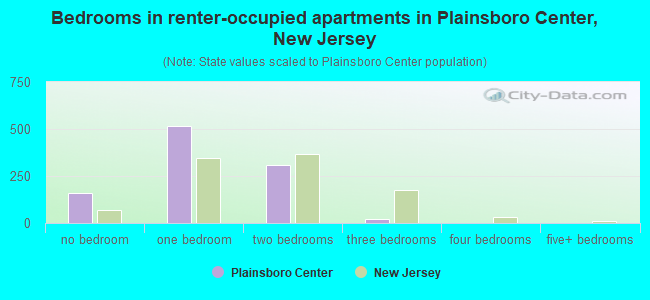 Bedrooms in renter-occupied apartments in Plainsboro Center, New Jersey