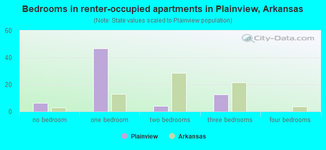 Bedrooms in renter-occupied apartments in Plainview, Arkansas