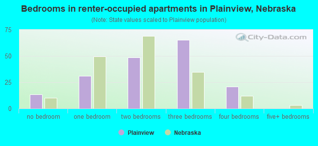 Bedrooms in renter-occupied apartments in Plainview, Nebraska