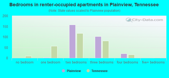 Bedrooms in renter-occupied apartments in Plainview, Tennessee