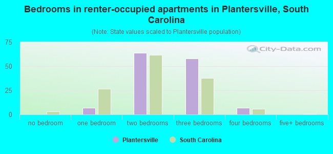 Bedrooms in renter-occupied apartments in Plantersville, South Carolina