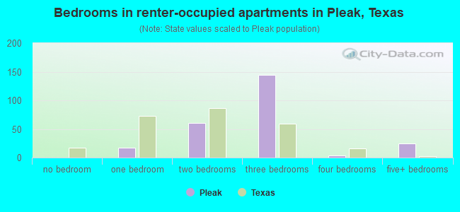 Bedrooms in renter-occupied apartments in Pleak, Texas
