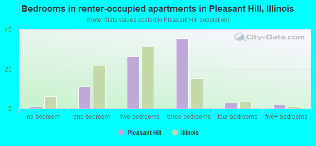 Bedrooms in renter-occupied apartments in Pleasant Hill, Illinois