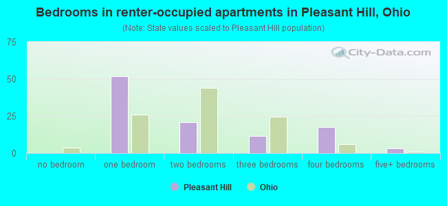 Bedrooms in renter-occupied apartments in Pleasant Hill, Ohio
