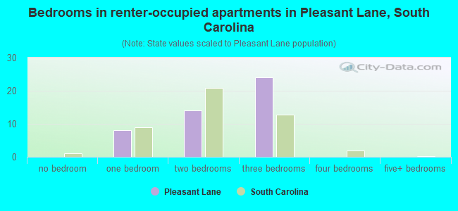 Bedrooms in renter-occupied apartments in Pleasant Lane, South Carolina