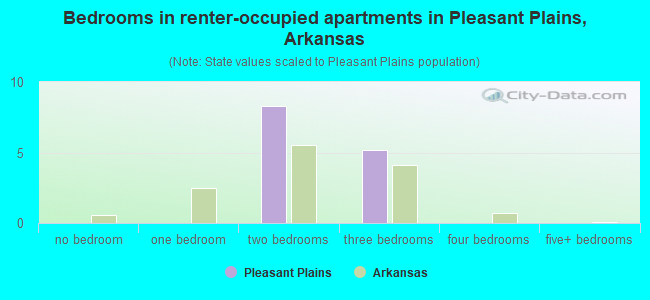 Bedrooms in renter-occupied apartments in Pleasant Plains, Arkansas