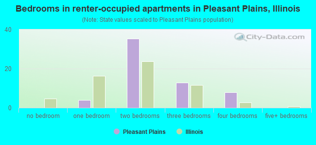 Bedrooms in renter-occupied apartments in Pleasant Plains, Illinois