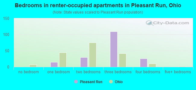 Bedrooms in renter-occupied apartments in Pleasant Run, Ohio