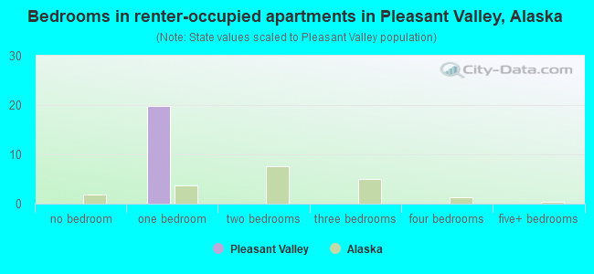 Bedrooms in renter-occupied apartments in Pleasant Valley, Alaska