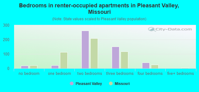 Bedrooms in renter-occupied apartments in Pleasant Valley, Missouri