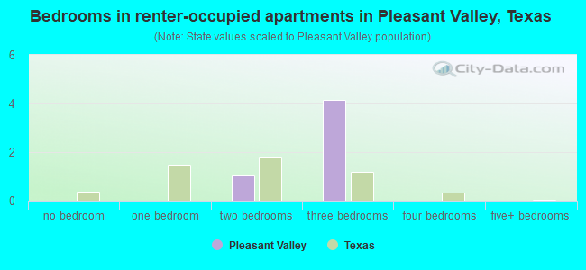 Bedrooms in renter-occupied apartments in Pleasant Valley, Texas