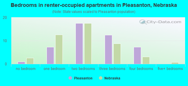 Bedrooms in renter-occupied apartments in Pleasanton, Nebraska
