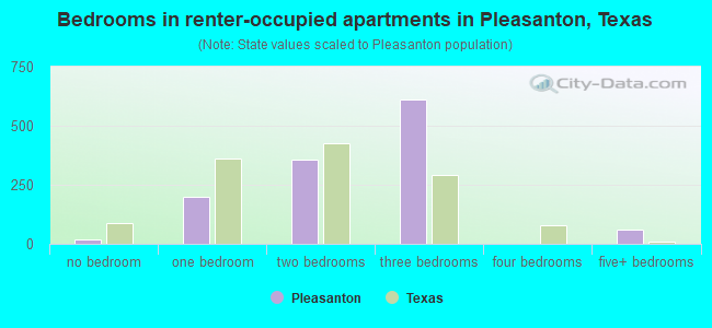 Bedrooms in renter-occupied apartments in Pleasanton, Texas