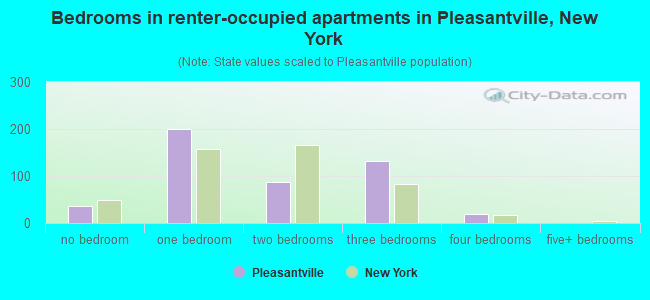 Bedrooms in renter-occupied apartments in Pleasantville, New York