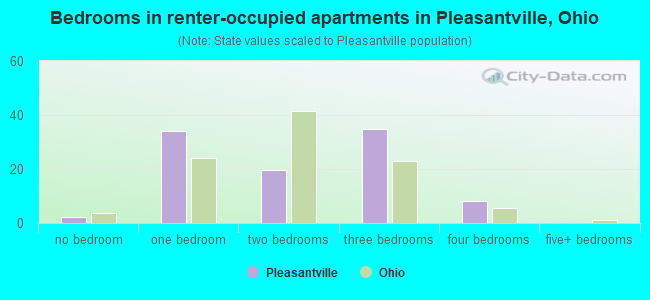 Bedrooms in renter-occupied apartments in Pleasantville, Ohio
