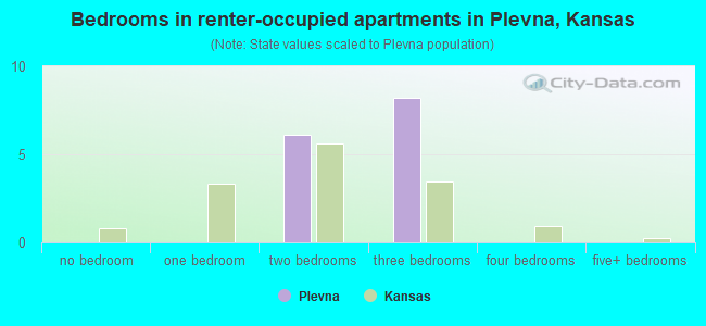 Bedrooms in renter-occupied apartments in Plevna, Kansas