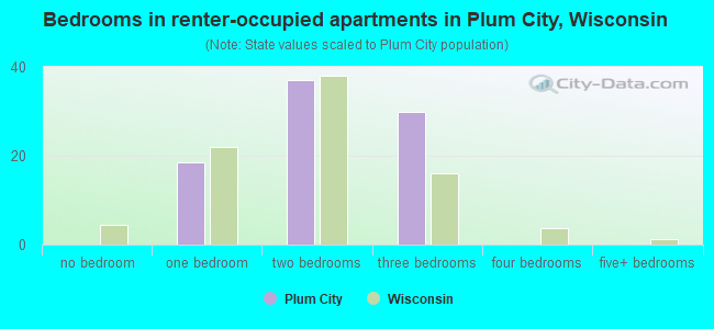 Bedrooms in renter-occupied apartments in Plum City, Wisconsin