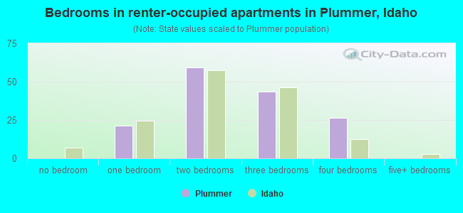 Bedrooms in renter-occupied apartments in Plummer, Idaho