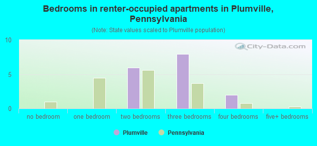Bedrooms in renter-occupied apartments in Plumville, Pennsylvania