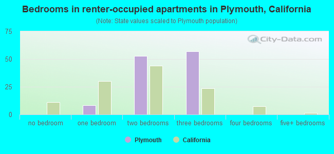 Bedrooms in renter-occupied apartments in Plymouth, California