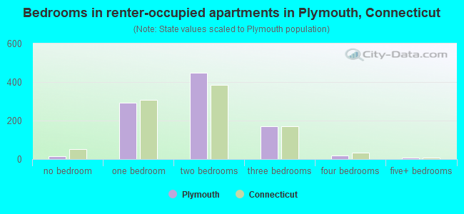 Bedrooms in renter-occupied apartments in Plymouth, Connecticut