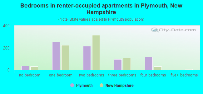 Bedrooms in renter-occupied apartments in Plymouth, New Hampshire