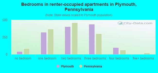 Bedrooms in renter-occupied apartments in Plymouth, Pennsylvania