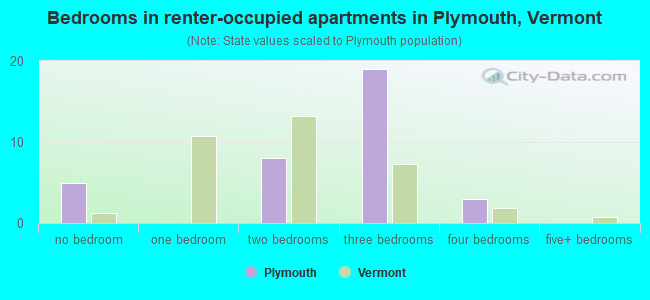 Bedrooms in renter-occupied apartments in Plymouth, Vermont