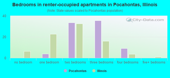 Bedrooms in renter-occupied apartments in Pocahontas, Illinois
