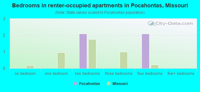 Bedrooms in renter-occupied apartments in Pocahontas, Missouri