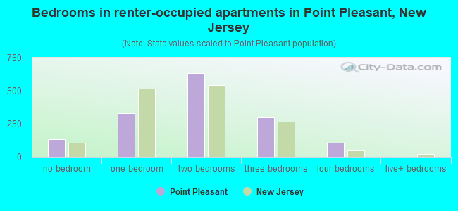 Bedrooms in renter-occupied apartments in Point Pleasant, New Jersey